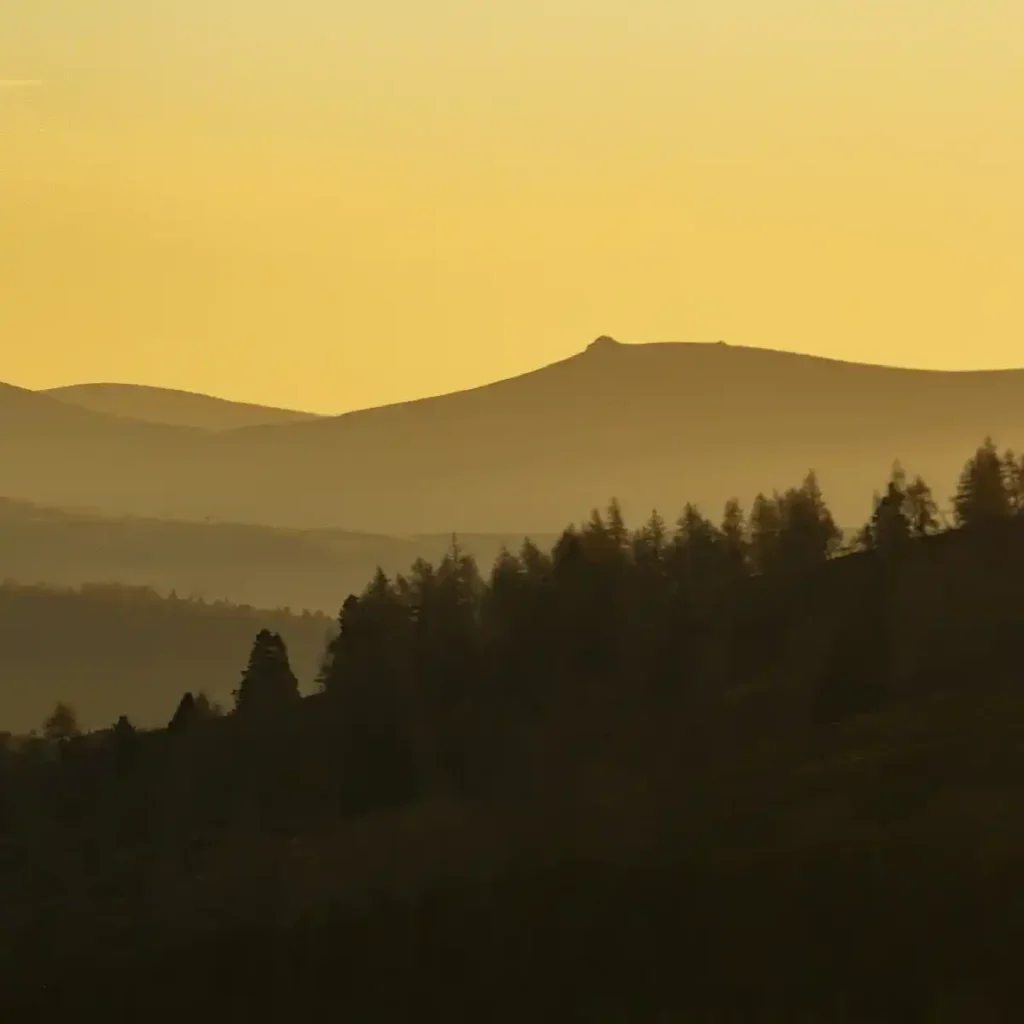 View to a distant hill with a rocky outcrop on top of it. Conifer trees stand in silhouette in the foreground.
